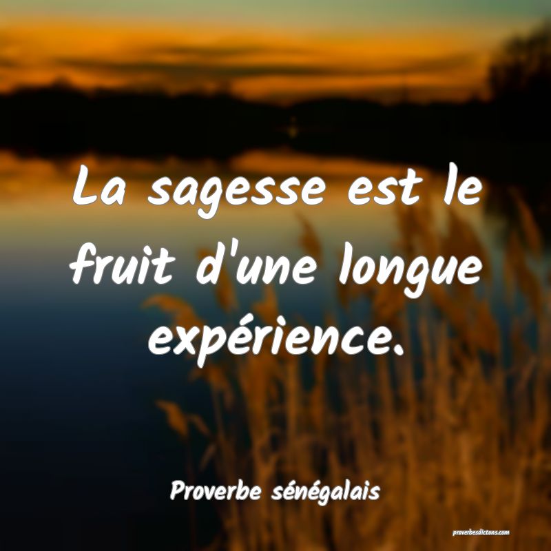 La sagesse est le fruit d'une longue expérience.