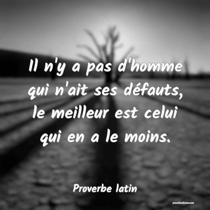 Il n'y a pas d'homme qui n'ait ses défauts, le meilleur est celui qui en a le moins.