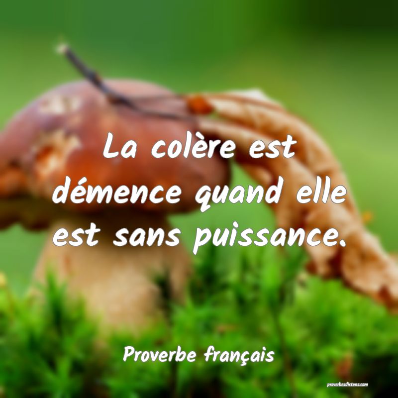 La colère est démence quand elle est sans puissance.