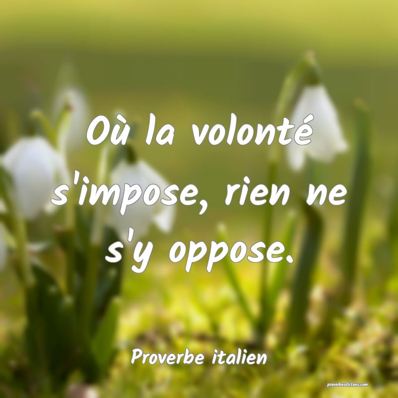 Où la volonté s'impose, rien ne s'y oppose.