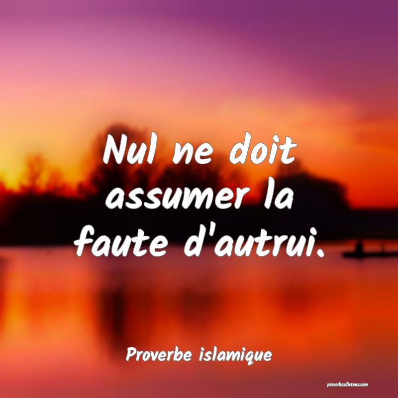 Nul ne doit assumer la faute d'autrui.