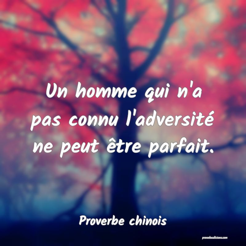 Un homme qui n'a pas connu l'adversité ne peut être parfait.