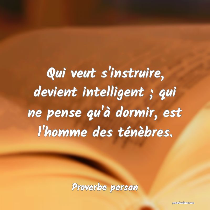 Qui veut s'instruire, devient intelligent ; qui ne pense qu'à dormir, est l'homme des ténèbres.