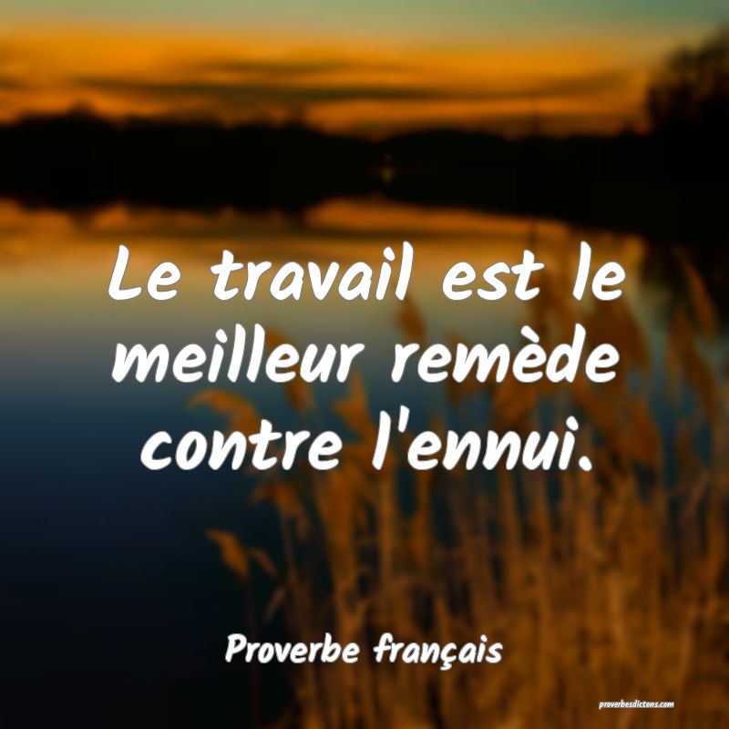 Le travail est le meilleur remède contre l'ennui.