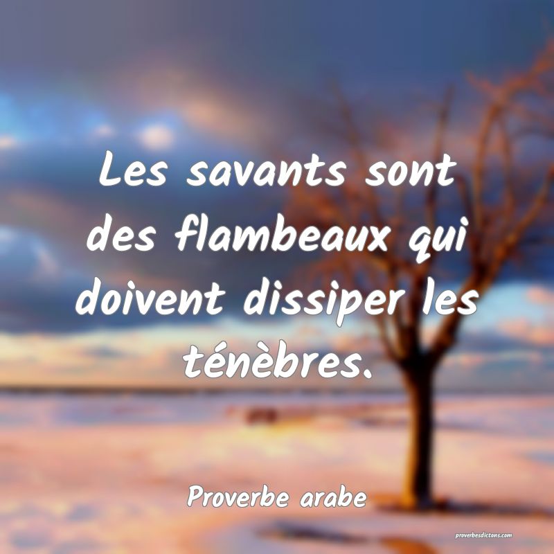 Les savants sont des flambeaux qui doivent dissiper les ténèbres.