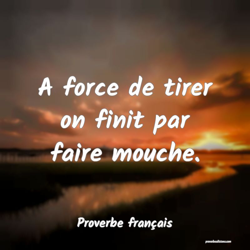 A force de tirer on finit par faire mouche.