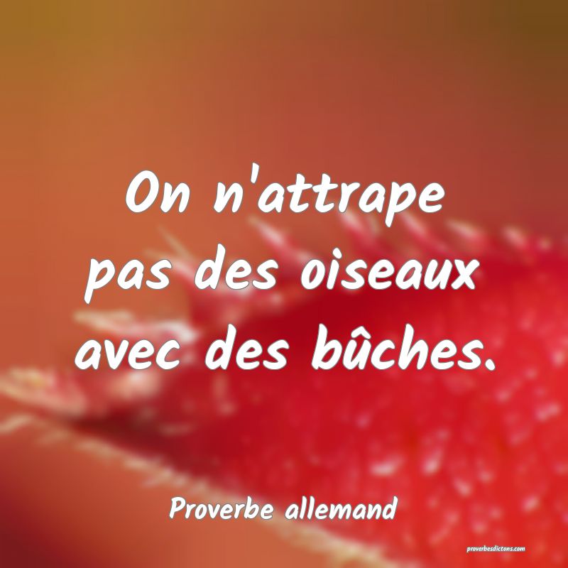 On n'attrape pas des oiseaux avec des bûches.