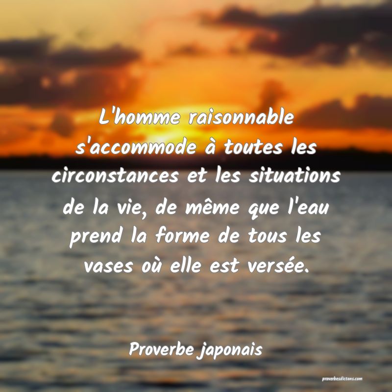 L'homme raisonnable s'accommode à toutes les circonstances et les situations de la vie, de même que l'eau prend la forme de tous les vases où elle est versée.