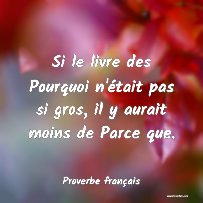 Si le livre des Pourquoi n'était pas si gros, il y aurait moins de Parce que.