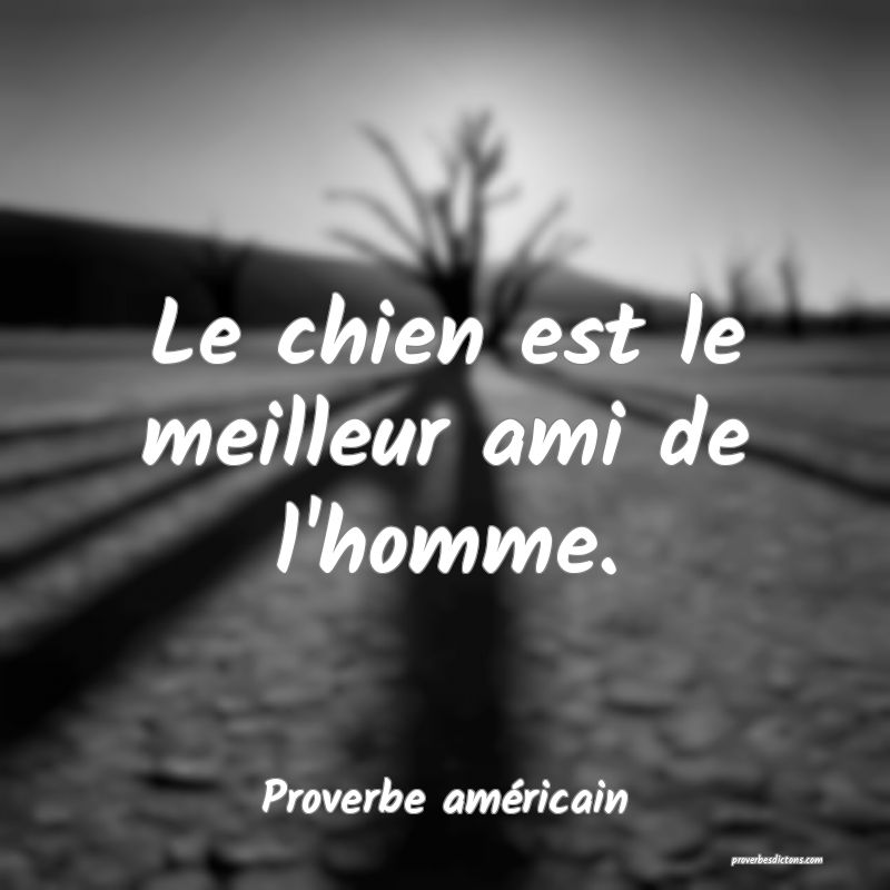 Le chien est le meilleur ami de l'homme.