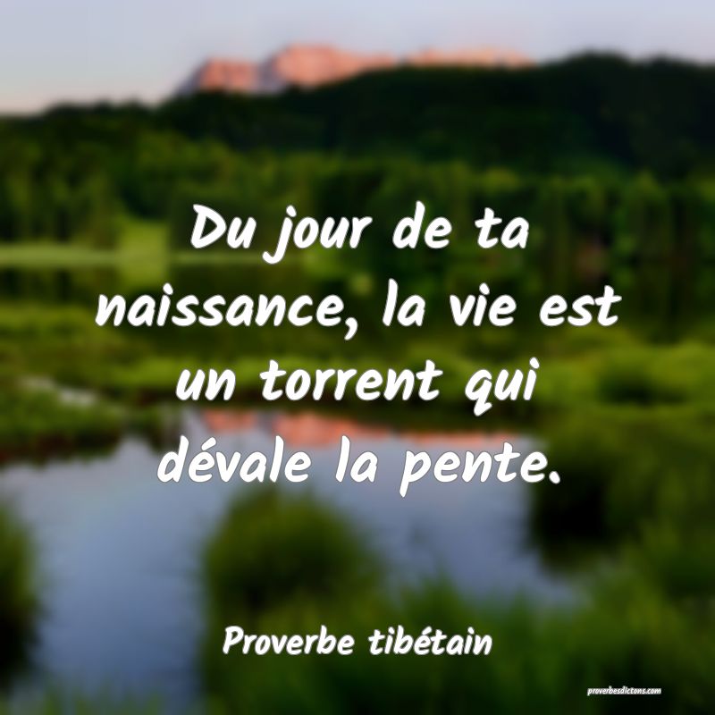 Du jour de ta naissance, la vie est un torrent qui dévale la pente.