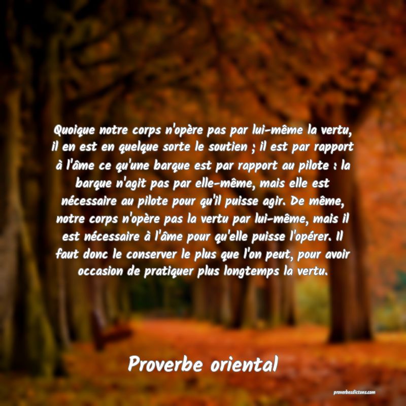 Quoique notre corps n'opère pas par lui-même la vertu, il en est en quelque sorte le soutien ; il est par rapport à l'âme ce qu'une barque est par rapport au pilote : la barque n'agit pas par elle-même, mais elle est nécessaire au pilote pour qu'il puisse agir. De même, notre corps n'opère pas la vertu par lui-même, mais il est nécessaire à l'âme pour qu'elle puisse l'opérer. Il faut donc le conserver le plus que l'on peut, pour avoir occasion de pratiquer plus longtemps la vertu.