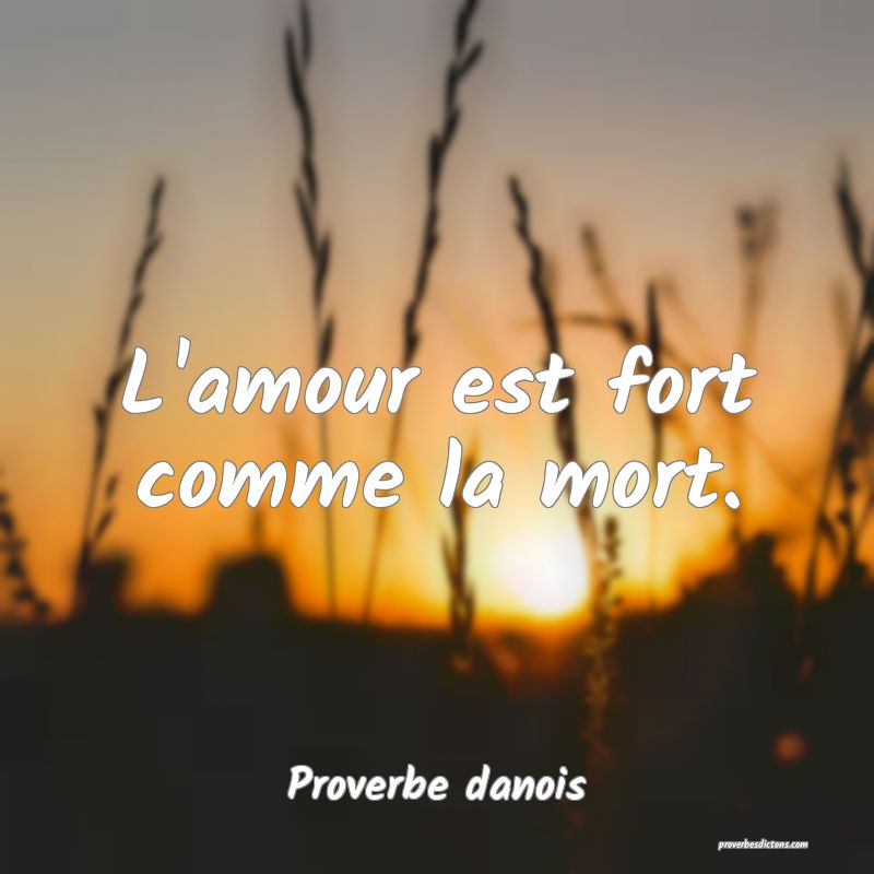 L'amour est fort comme la mort.