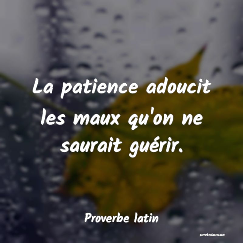 La patience adoucit les maux qu'on ne saurait guérir.