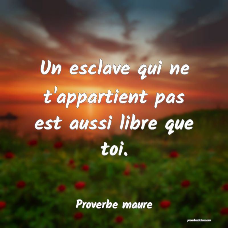 Un esclave qui ne t'appartient pas est aussi libre que toi.