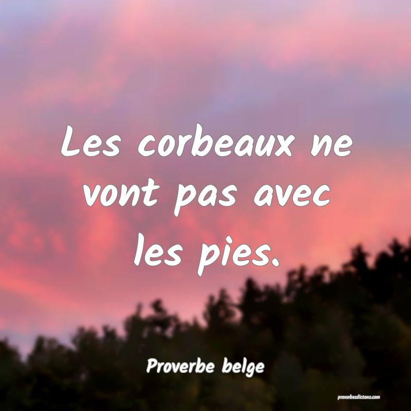 Les corbeaux ne vont pas avec les pies.