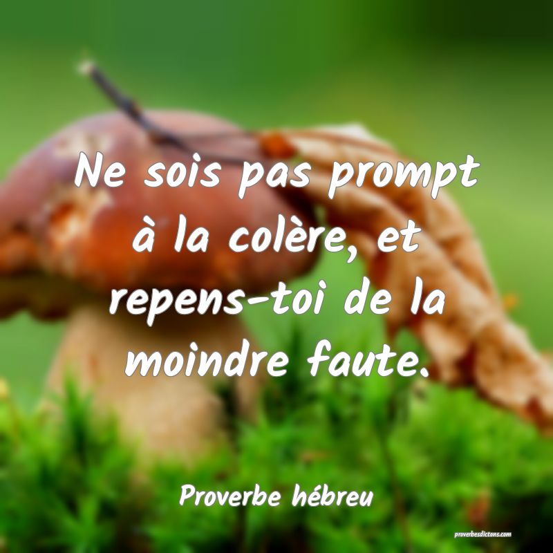 Ne sois pas prompt à la colère, et repens-toi de la moindre faute.