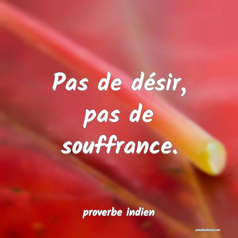  Pas de désir, pas de souffrance.