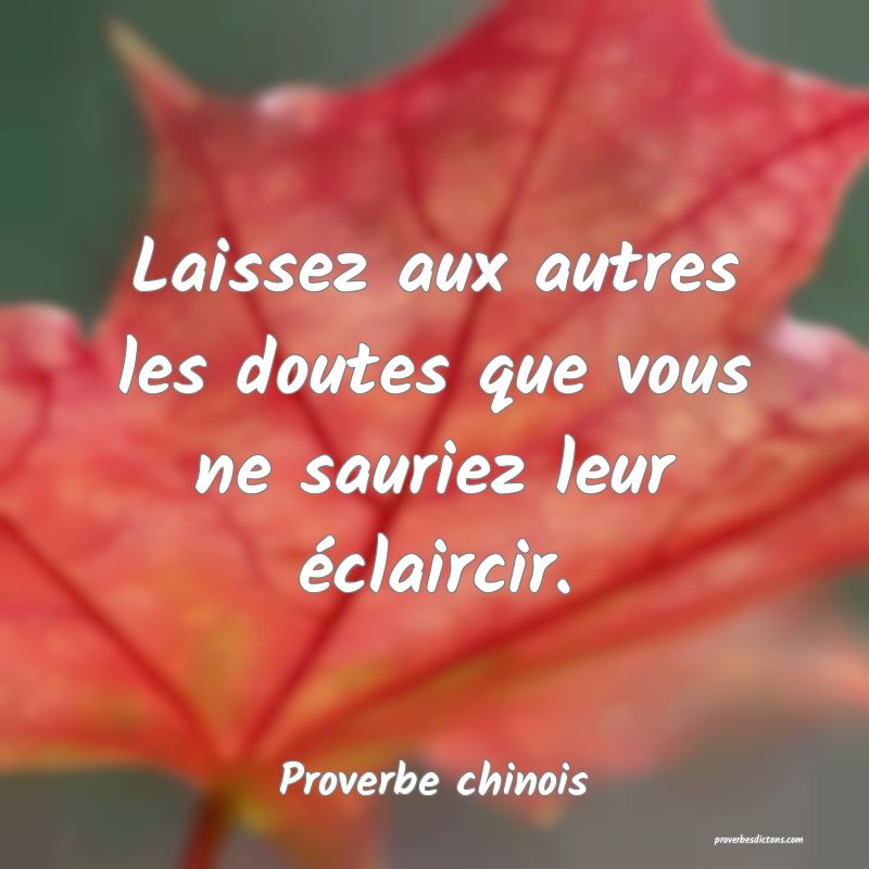 Laissez aux autres les doutes que vous ne sauriez leur éclaircir.