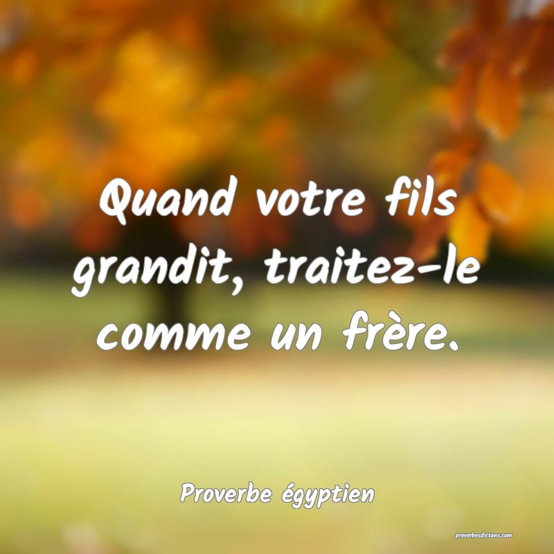 Quand votre fils grandit, traitez-le comme un frère.