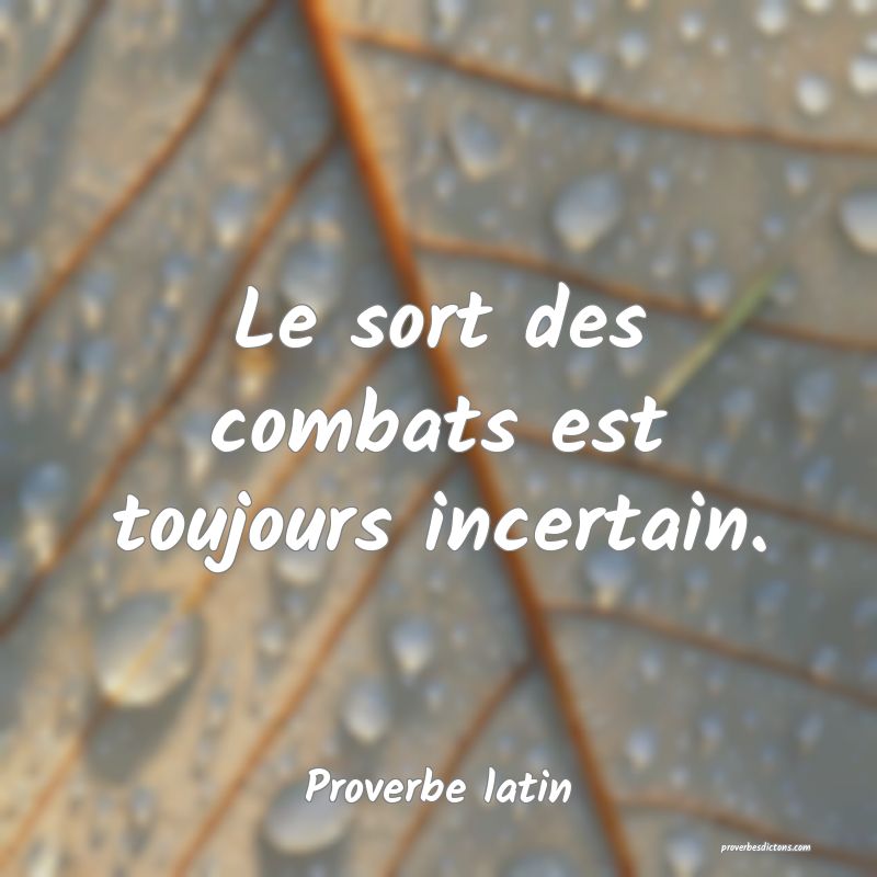 Le sort des combats est toujours incertain.