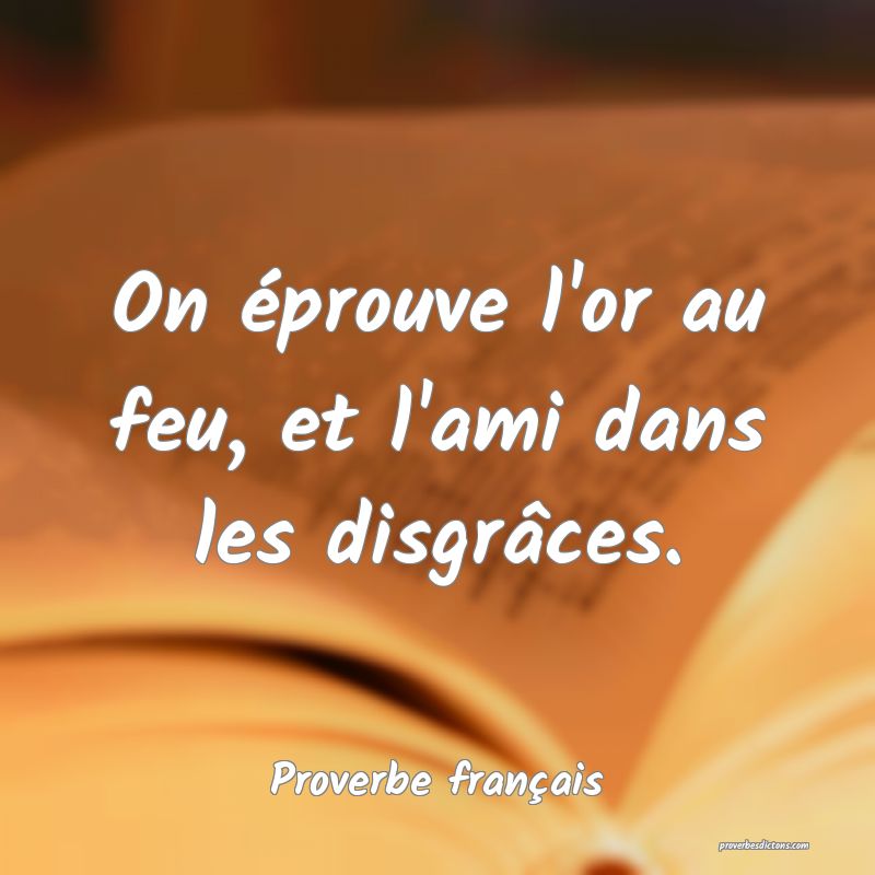On éprouve l'or au feu, et l'ami dans les disgrâces.