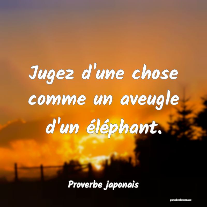 Jugez d'une chose comme un aveugle d'un éléphant.