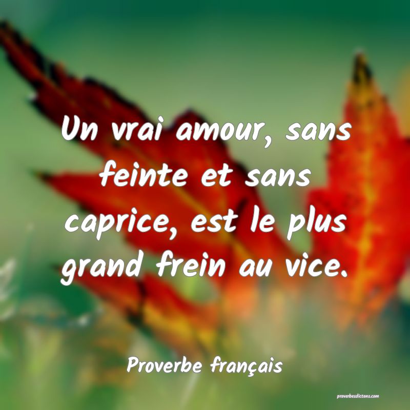 Un vrai amour, sans feinte et sans caprice, est le plus grand frein au vice.
