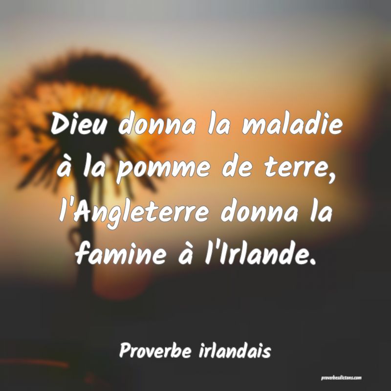 Dieu donna la maladie à la pomme de terre, l'Angleterre donna la famine à l'Irlande.