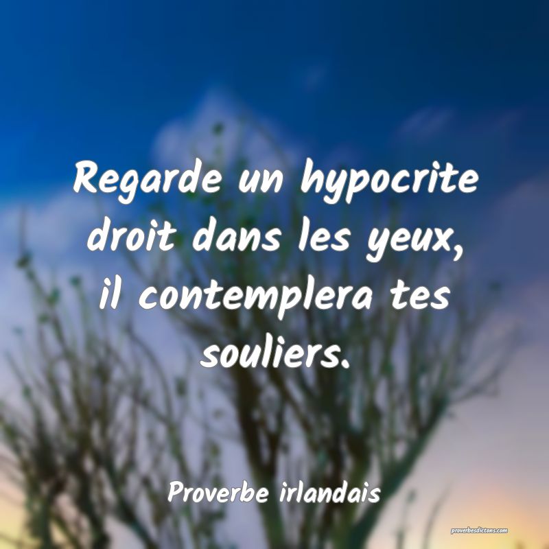 Regarde un hypocrite droit dans les yeux, il contemplera tes souliers.