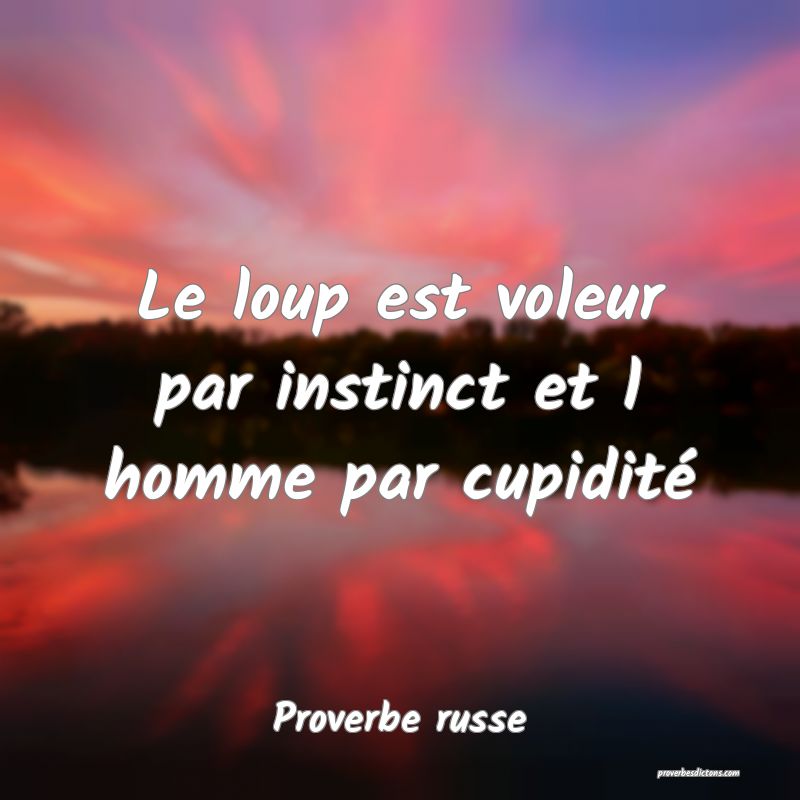  Le loup est voleur par instinct et l homme par cupidité