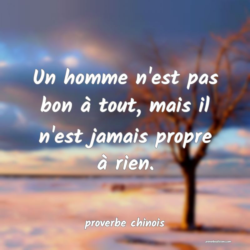  Un homme n'est pas bon à tout, mais il n'est jamais propre à rien.