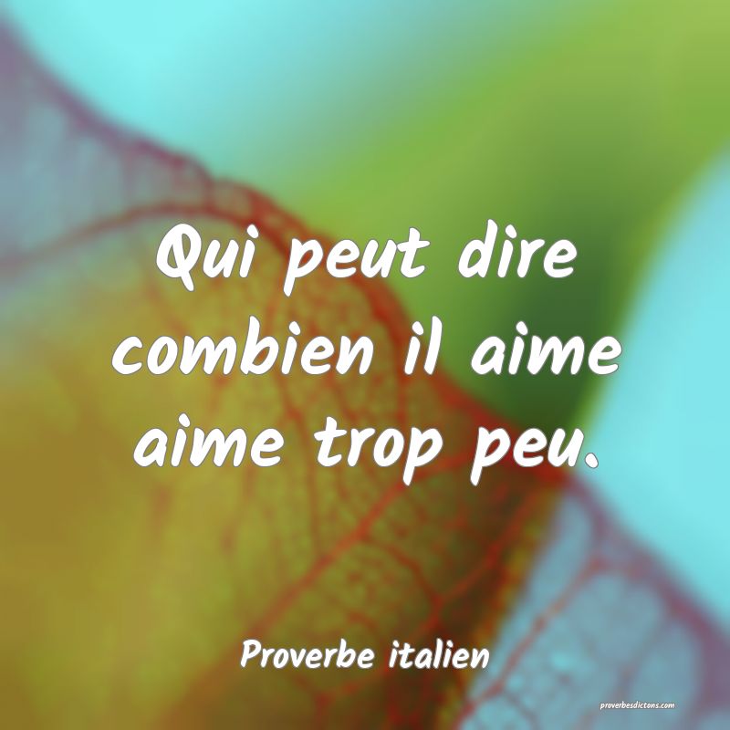 Qui peut dire combien il aime aime trop peu.