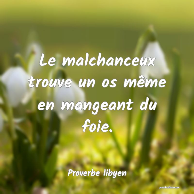 Le malchanceux trouve un os même en mangeant du foie.
