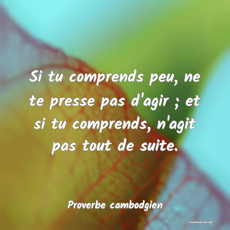 Si tu comprends peu, ne te presse pas d'agir ; et si tu comprends, n'agit pas tout de suite.