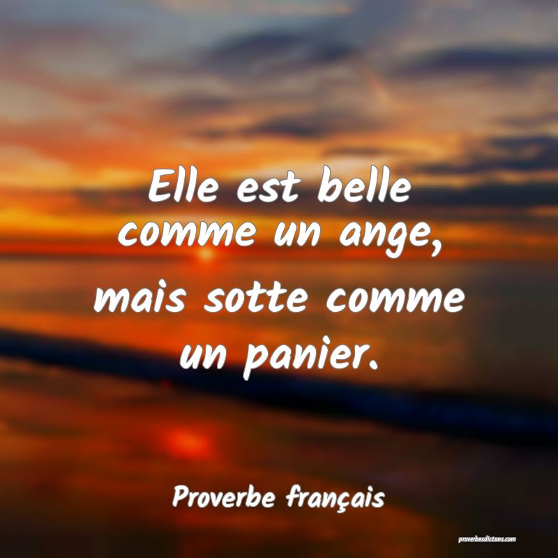 Elle est belle comme un ange, mais sotte comme un panier.