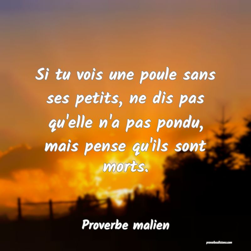 Si tu vois une poule sans ses petits, ne dis pas qu'elle n'a pas pondu, mais pense qu'ils sont morts.
