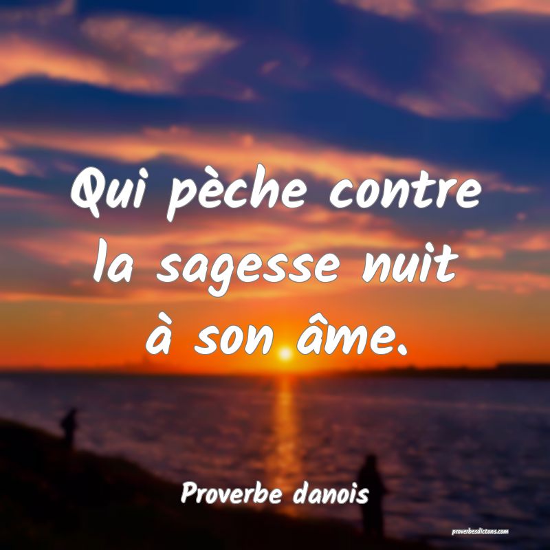 Qui pèche contre la sagesse nuit à son âme.