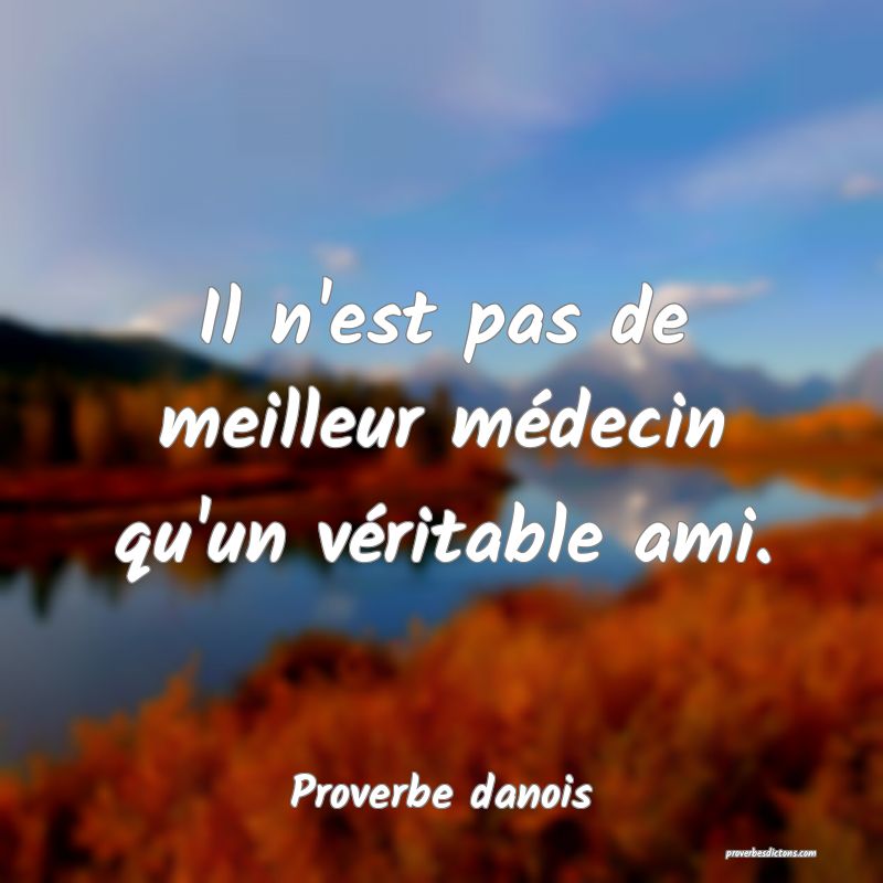Il n'est pas de meilleur médecin qu'un véritable ami.
