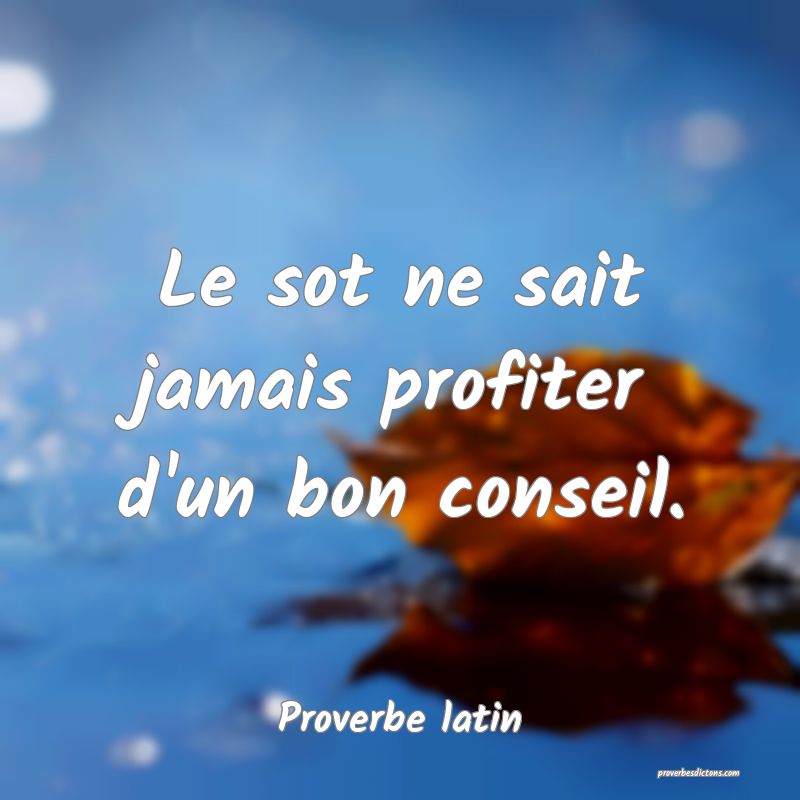 Le sot ne sait jamais profiter d'un bon conseil.