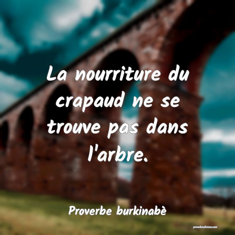  La nourriture du crapaud ne se trouve pas dans l'arbre.