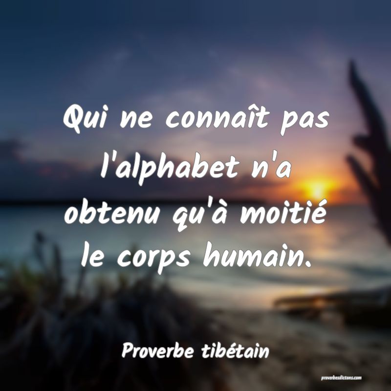 Qui ne connaît pas l'alphabet n'a obtenu qu'à moitié le corps humain.