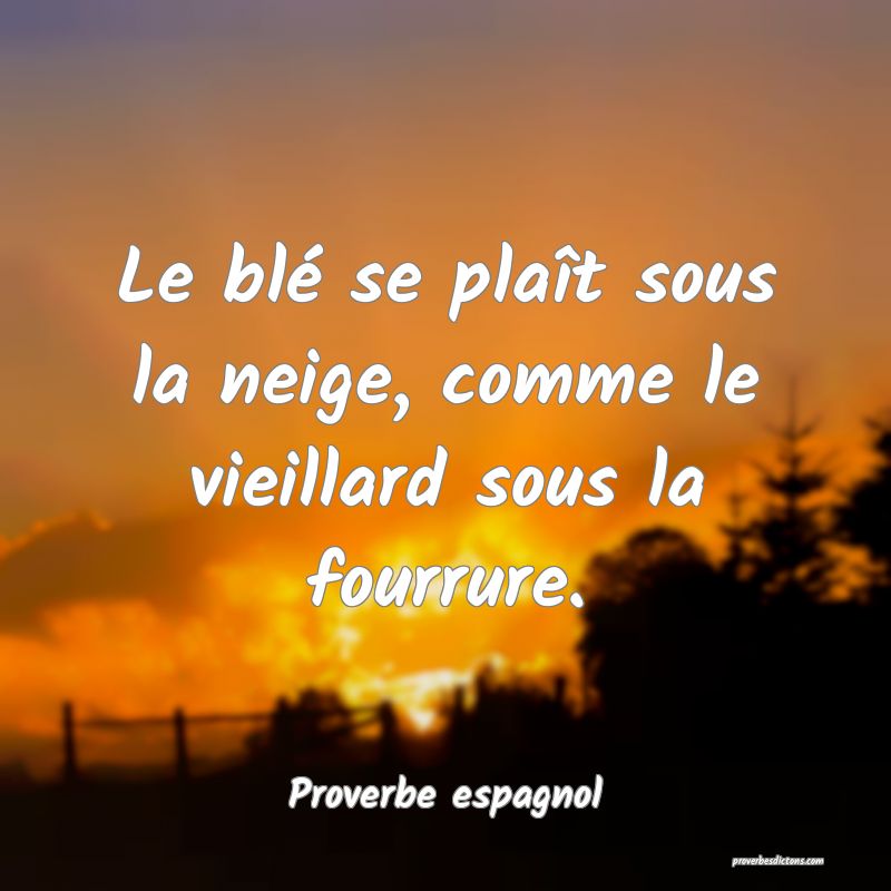 Le blé se plaît sous la neige, comme le vieillard sous la fourrure.