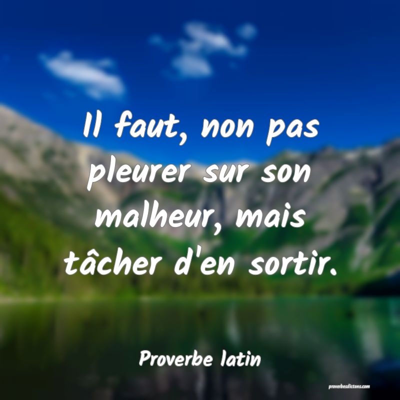 Il faut, non pas pleurer sur son malheur, mais tâcher d'en sortir.