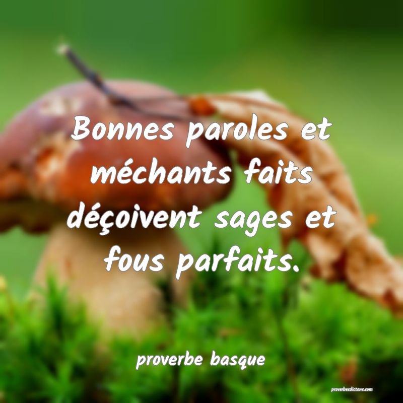  Bonnes paroles et méchants faits déçoivent sages et fous parfaits.