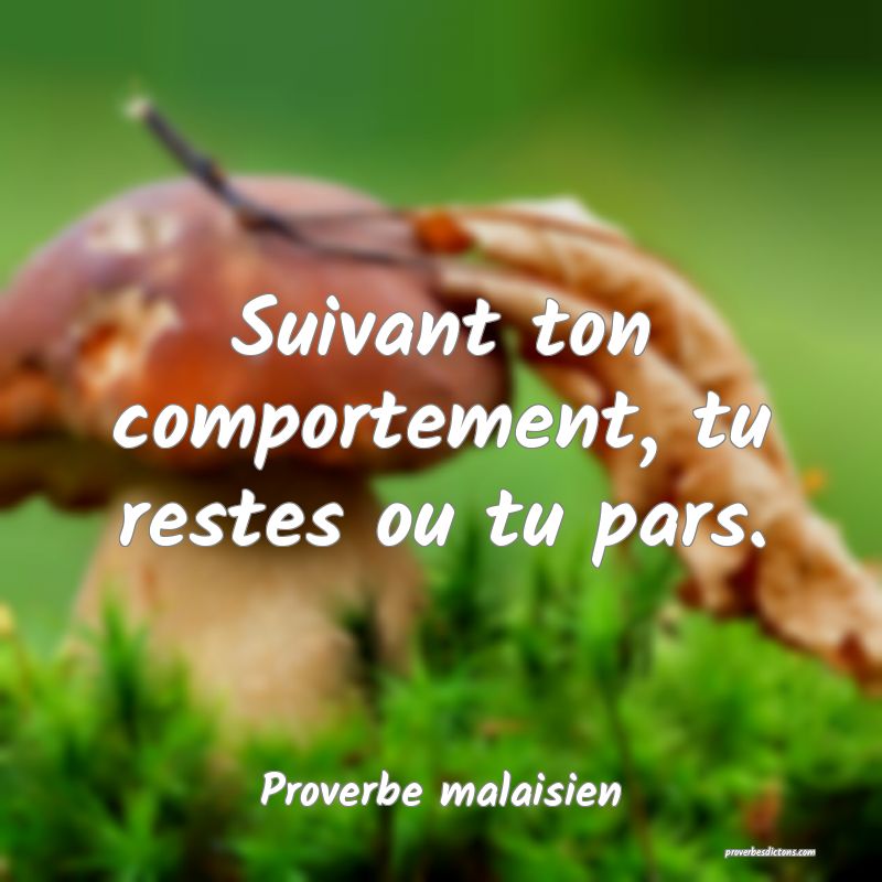 Suivant ton comportement, tu restes ou tu pars.