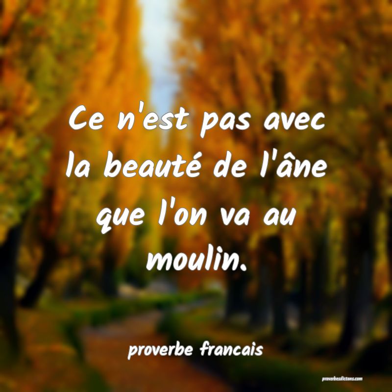  Ce n'est pas avec la beauté de l'âne que l'on va au moulin.