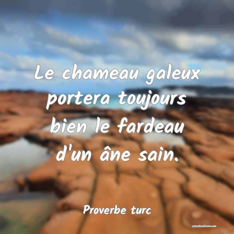 Le chameau galeux portera toujours bien le fardeau d'un âne sain.