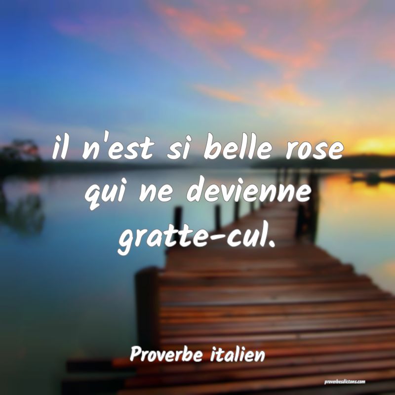 il n'est si belle rose qui ne devienne gratte-cul.