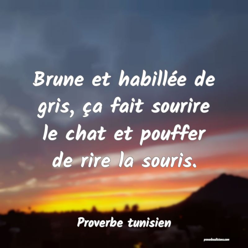 Brune et habillée de gris, ça fait sourire le chat et pouffer de rire la souris.
